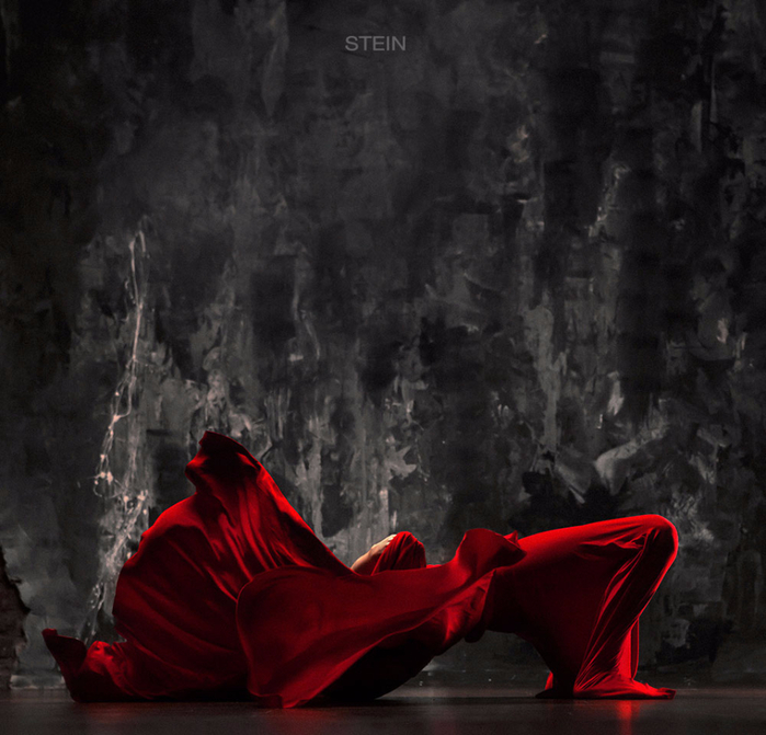 Vadim Stein4 (700x671, 351Kb)