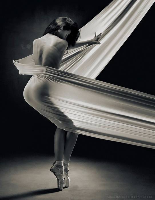 Vadim Stein15 (542x700, 260Kb)