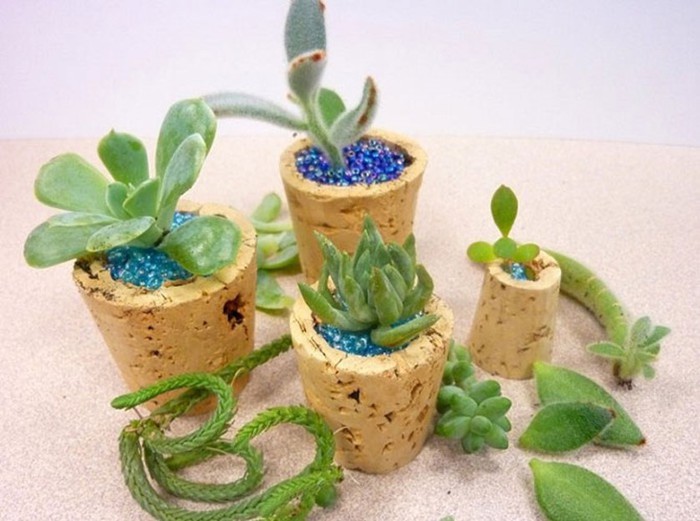 Гениальные миниатюрные кашпо для маленьких растений из винных пробок