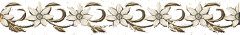 2763 (350x52, 35Kb)