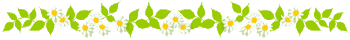 2777 (350x40, 16Kb)
