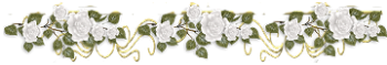 2779 (350x59, 41Kb)