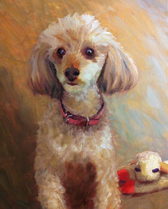 Molly the Poodle (563x700, 155Kb)