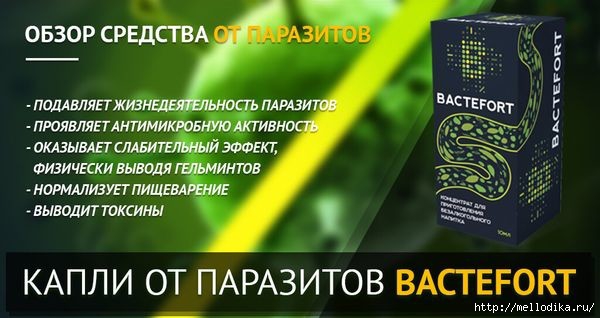 bactefort-ot-parazitov-obzor-600x318 (600x318, 115Kb)