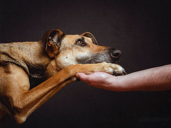 Elke Vogelsang1 (700x525, 207Kb)