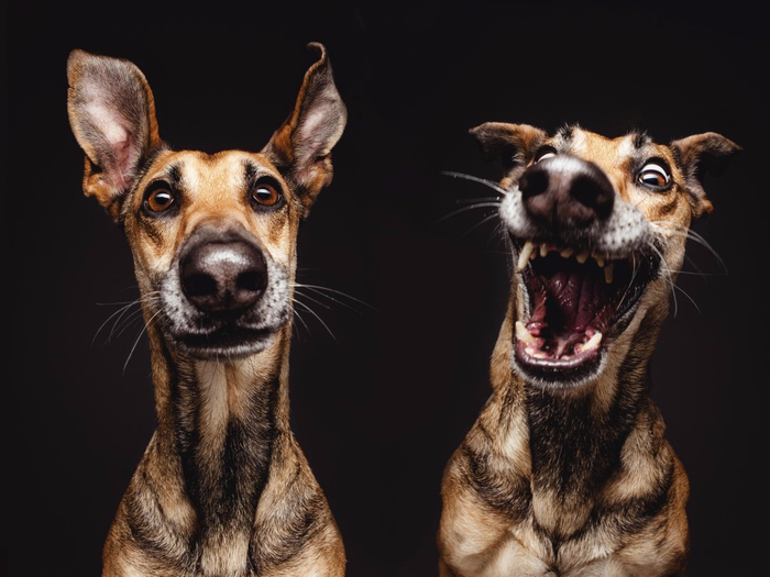 Elke Vogelsang4 (700x525, 248Kb)