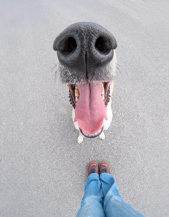 Elke Vogelsang5 (544x700, 374Kb)