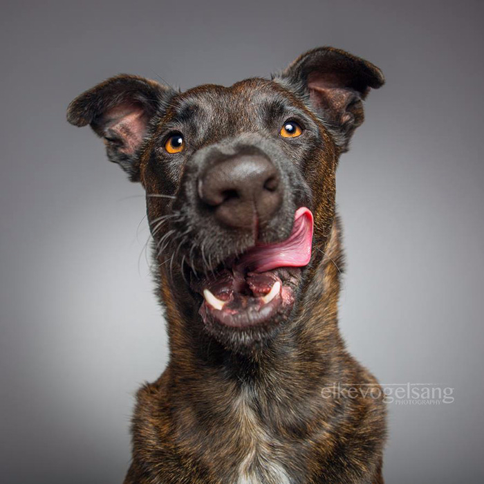 Elke Vogelsang5 (700x700, 301Kb)