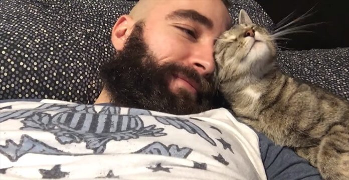 3085196_catcuddle696x360 (696x360, 62Kb)