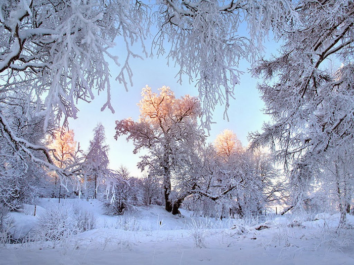 Winter dawning Wallpaper__yvt2 (700x525, 513Kb)