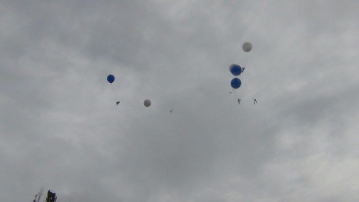 DSC03661 (700x393, 204Kb)