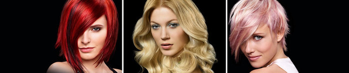 linia-krasoty-courses (1) (700x146, 25Kb)