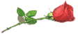 116275907_1410009732_Bez_imeniuu__kopiya (112x50, 6Kb)