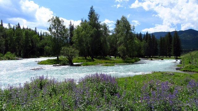 IMG_4913 a (640x359, 331Kb)