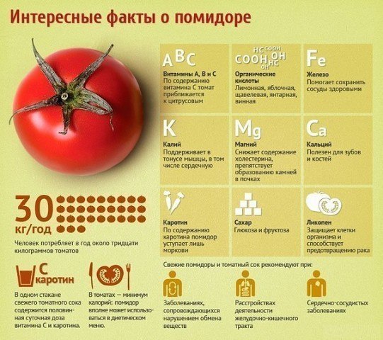 4208855_c03vpBaUayM (541x480, 76Kb)