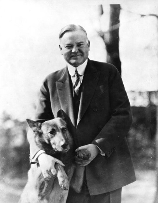 Первые собаки США: домашние любимцы американских президентов от Гардинга до Обамы