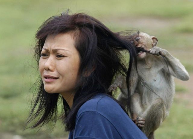 Женщины и животные: веселые фотографии об их отношениях