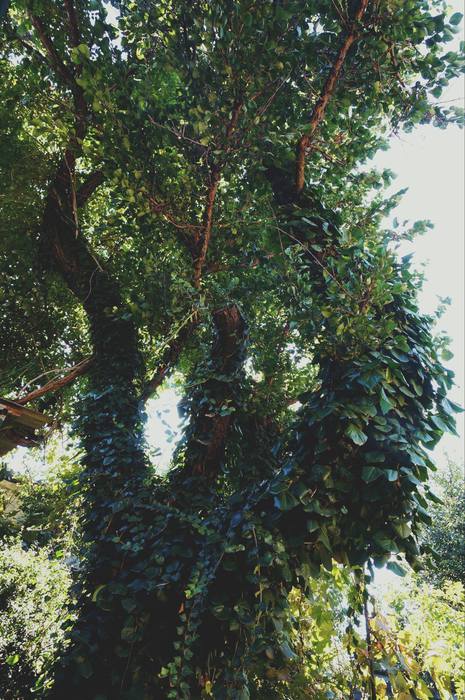 1 (465x700, 85Kb)