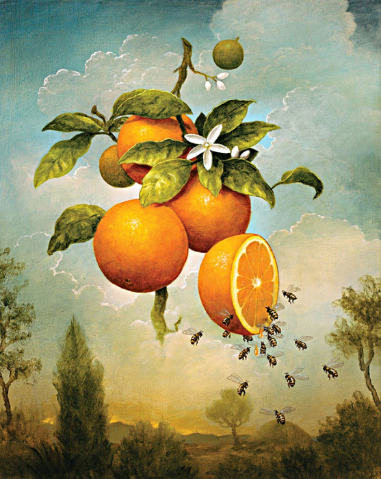 Kevin Sloan Tutt'Art@ (7) (557x700, 518Kb)