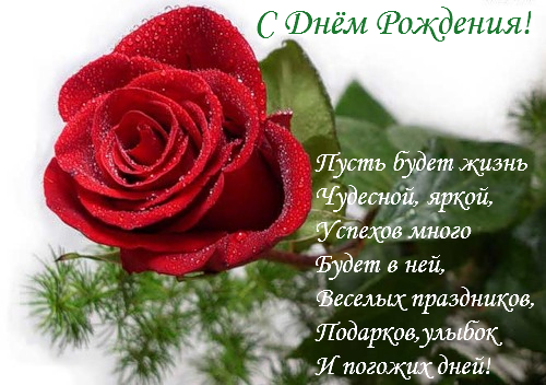 Поздравления с днем рождения женщины от однокурсницы Поздравления с днем рождения женщины от однокурсницы