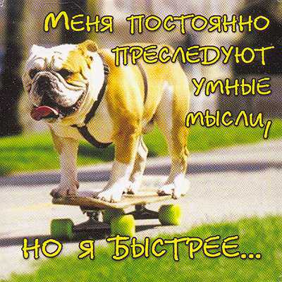 Stimka.ru_1310666797_0a1fb4dbaf7d52e038b212ab905d3654 (400x400, 37Kb)
