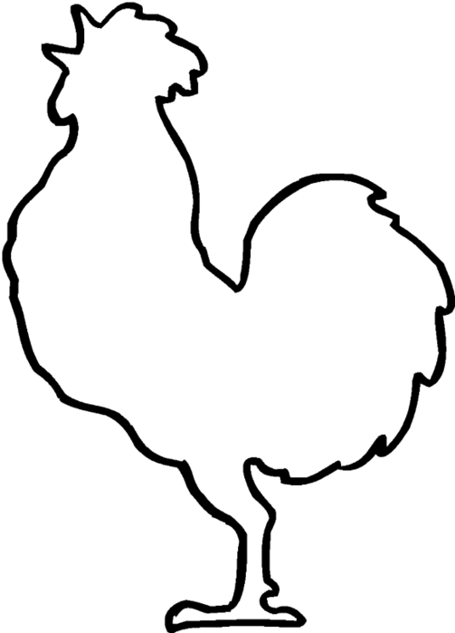 rooster-outline (503x700, 16Kb)