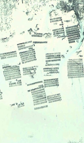 16 (293x500, 41Kb)