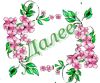 1650 (100x83, 15Kb)
