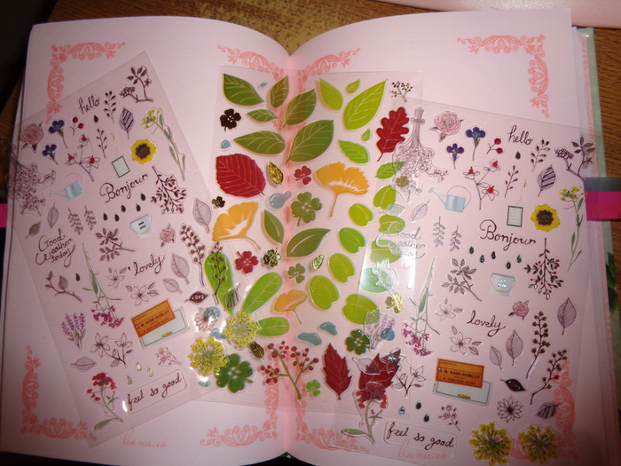 DSC02532 (700x525, 253Kb)