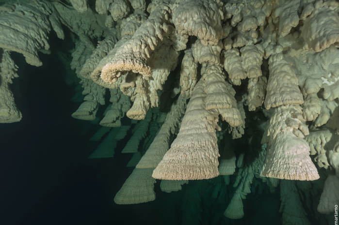 подводная пещера Cenote Zapote в мексике 4 (700x465, 331Kb)