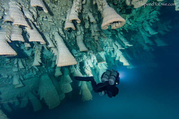 подводная пещера Cenote Zapote в мексике 6 (700x466, 460Kb)