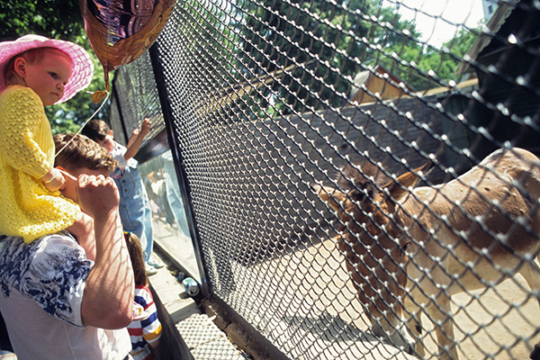Как посетители Московского зоопарка реагируют на животных, а звери   на людей