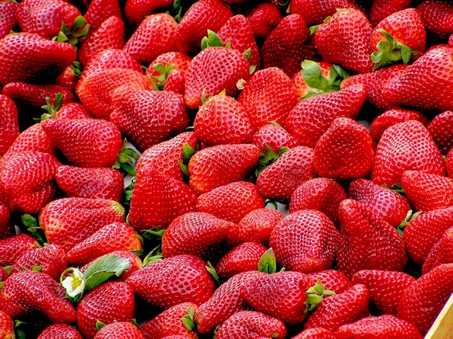 3925073_19377415strawberries99551_960_7201474251359650965e5b27661479980607 (650x487, 229Kb)