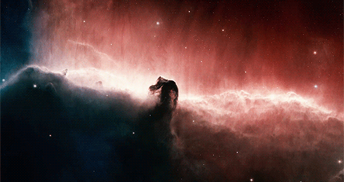 tumblr_nel3ybXLVC1tuy5mao1_500 (500x265, 939Kb)