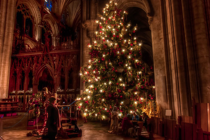 Christmas-at-Ely-Cathedral-980x655_c (900x667, 129Kb)