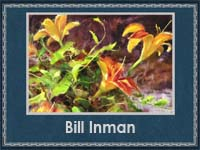 Bill Inman (200x150, 58Kb)