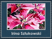 Irina Sztukowski (200x150, 49Kb)