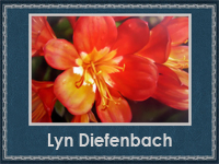 Lyn Diefenbach (200x150, 66Kb)
