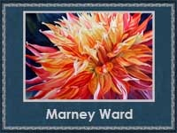 Marney Ward (200x150, 37Kb)