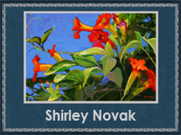 Shirley Novak (200x150, 78Kb)