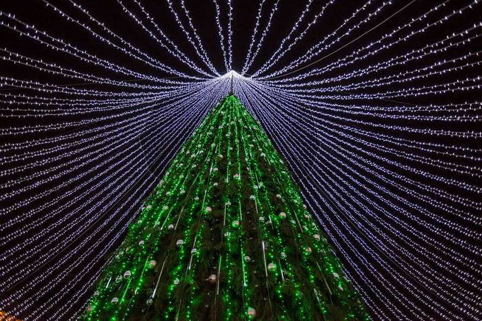 Рождественская елка в Вильнюсе/3364688_15621898_1295114670531291_2532921451632305272_n (700x466, 105Kb)