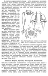 Превью 1_PГЎgina_084 (443x700, 303Kb)