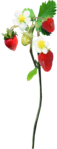  kit_strawberry fairy(01)DE (211x550, 127Kb)