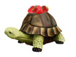 kit_strawberry fairy(07)DE (500x375, 176Kb)