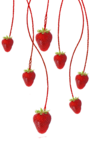 kit_strawberry fairy(69)DE (345x547, 111Kb)