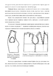  Page_00024 (494x700, 167Kb)