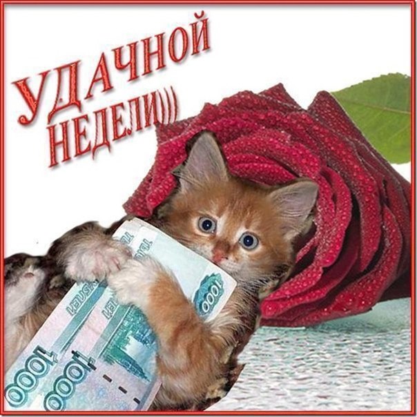 3470549_nedelya (604x604, 86Kb)