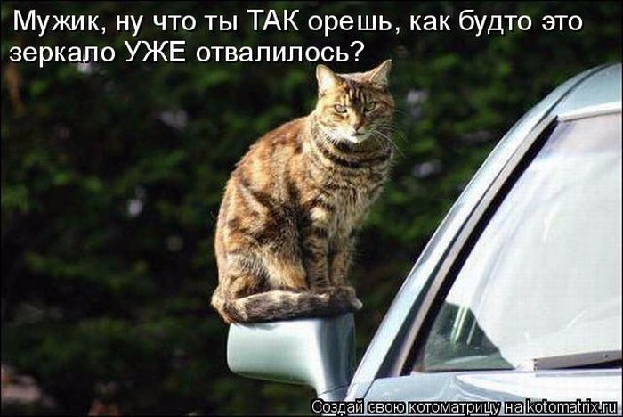 http://img1.liveinternet.ru/images/attach/d/1/133/651/133651979_Stimkaru_1312874320_1312803599_kotomatrix_46.jpg