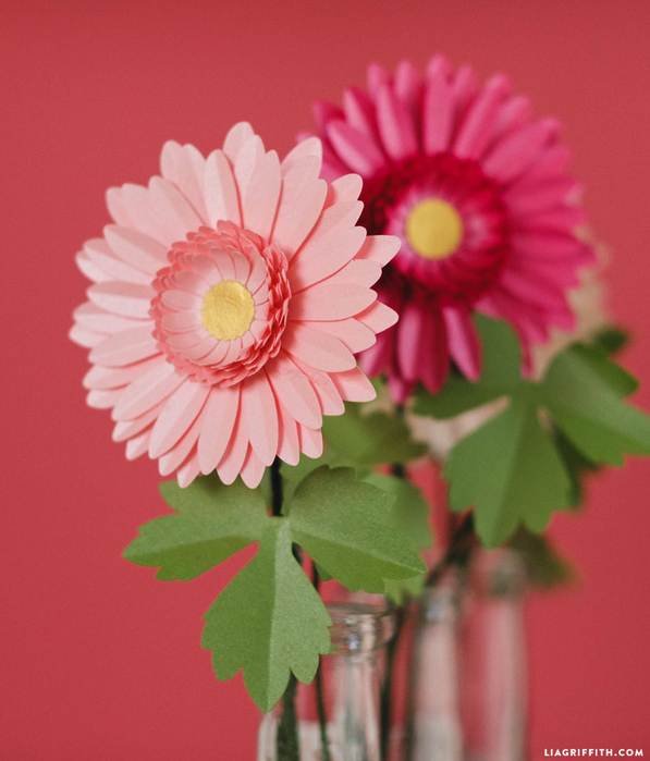 gerbera_daisy_0002 (597x700, 317Kb)