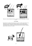  Page20 (494x700, 141Kb)